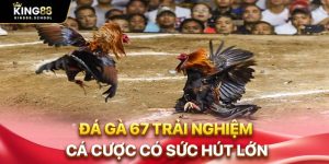 da ga 67 trai nghiem ca cuoc co suc hut lon 1
