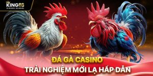 da ga casino trai nghiem moi la hap dan 1