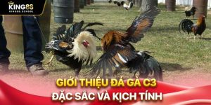 gioi thieu da ga c3 dac sac va kich tinh 1