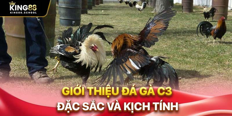 Đá Gà C3 – Sân Chơi Hấp Dẫn Cho Dân Đam Mê Chọi Kê 1 Giới thiệu đá gà C3 đặc sắc và kịch tính