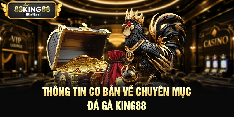 Thông tin cơ bản về chuyên mục đá gà King88